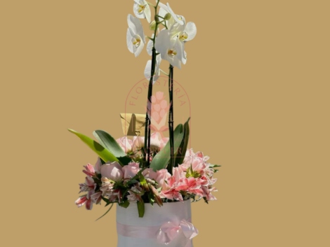 Orquideas phalaenopsis en cali arreglos con orquideas cali (2)