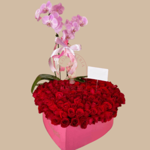 Orquídeas Phalaenopsis 3 | Floristería en Cali | Florecer