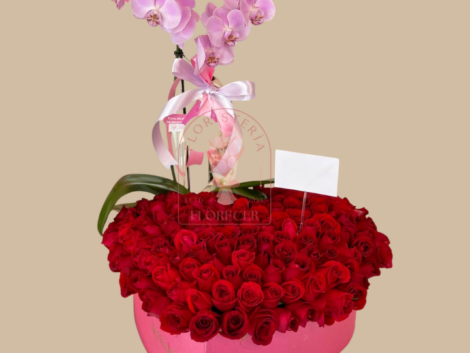 Orquideas phalaenopsis en cali arreglos con orquideas cali (3)