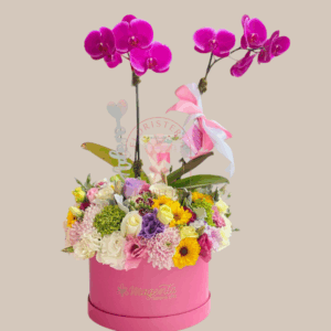 Orquídeas Phalaenopsis 4 | Floristería en Cali | Florecer