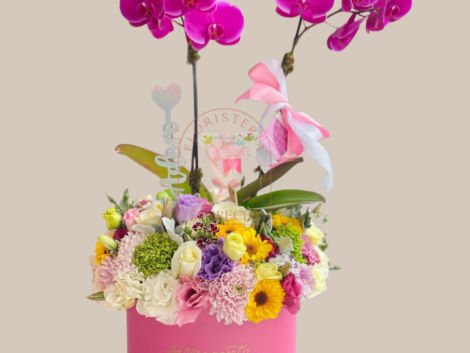 Orquideas phalaenopsis en cali arreglos con orquideas cali (4)