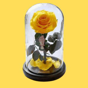 Rosas Preservadas 1 | Floristería en Cali | Florecer