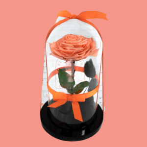 Rosas Preservadas 2 | Floristería en Cali | Florecer