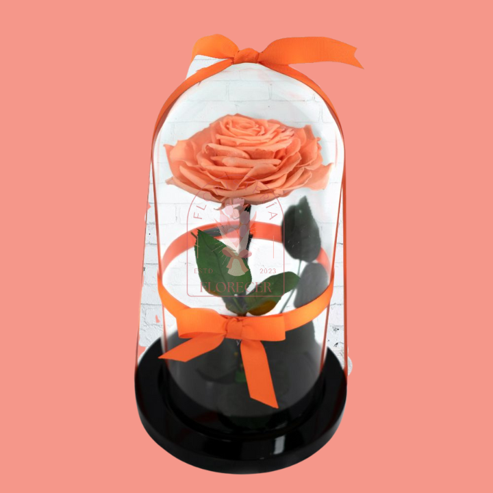 Rosa inmortalizada azul