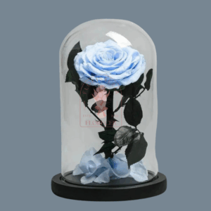 Rosas Preservadas 3 | Floristería en Cali | Florecer