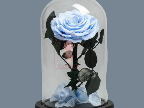 Rosas preservadas e inmortalizadas en cali Floristerias en cali (3)