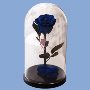 Rosas Preservadas 4 | Floristería en Cali | Florecer