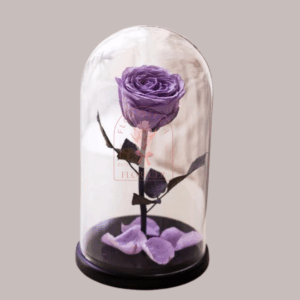 Rosas Preservadas 6 | Floristería en Cali | Florecer